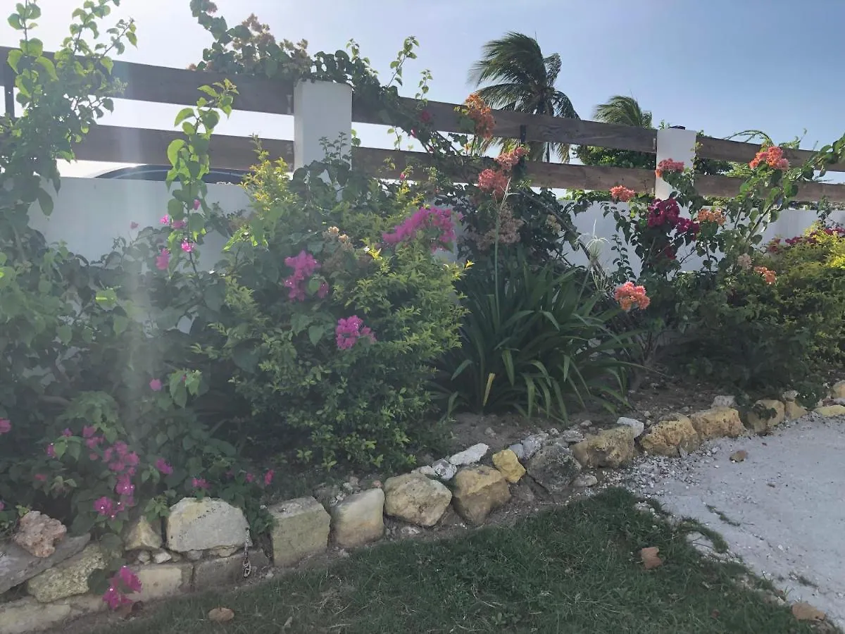 Airport Beach Hotel Бухта Монтего